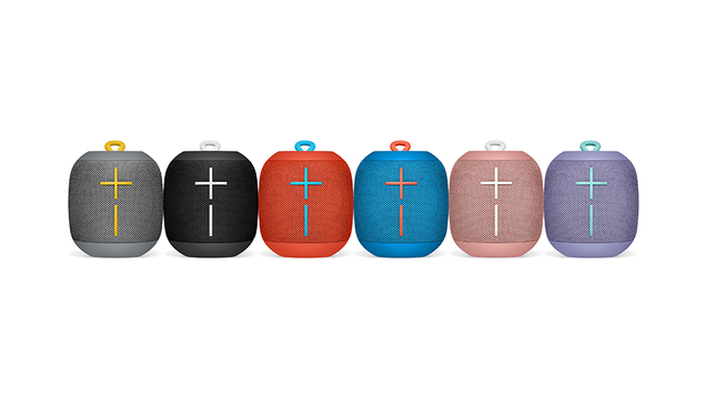 UE Wonderboom - $80